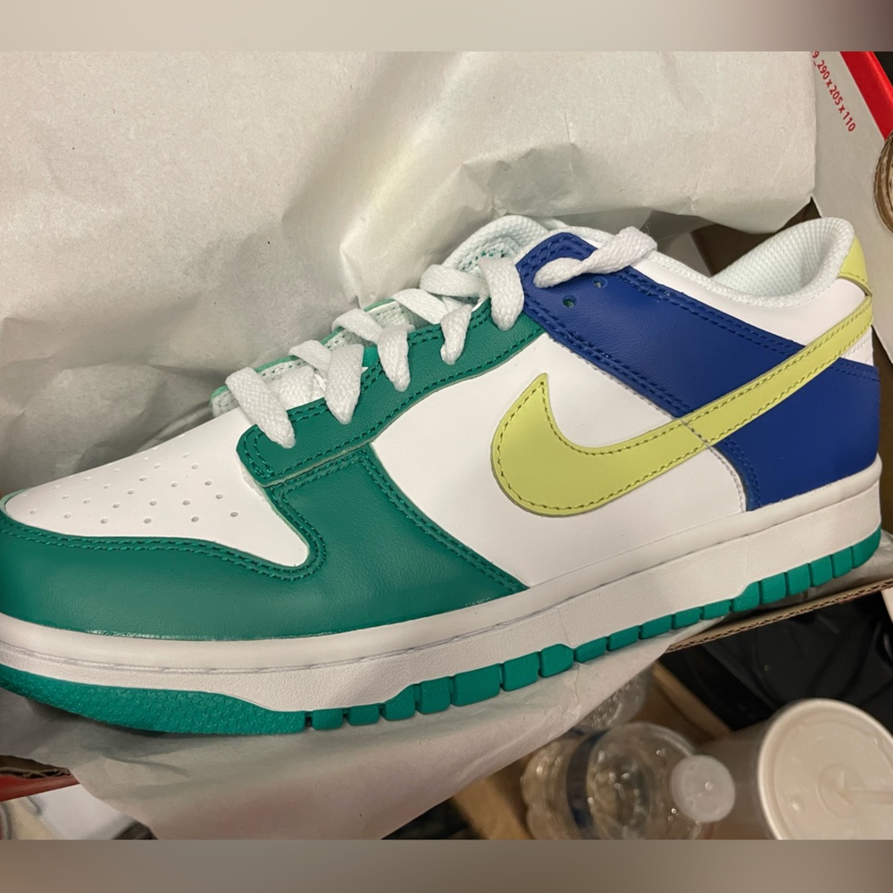 Nike dunk shoe